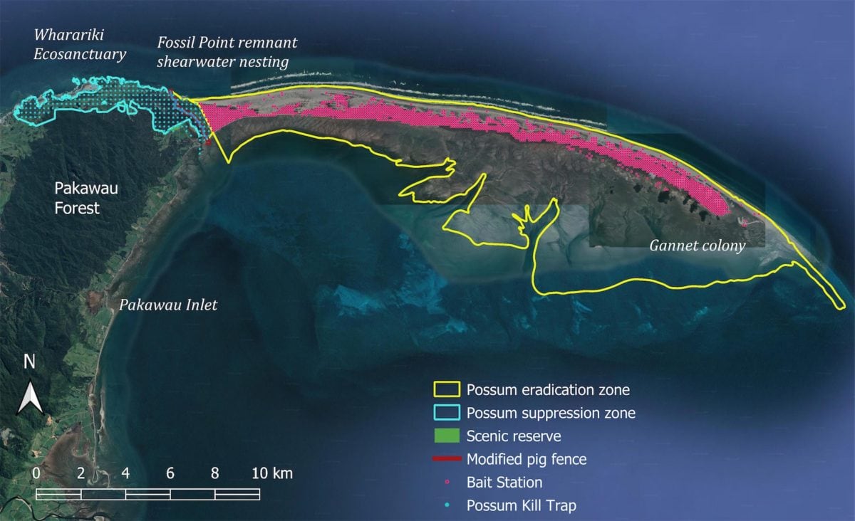 Map of planned possum eradication from Farewell Spit