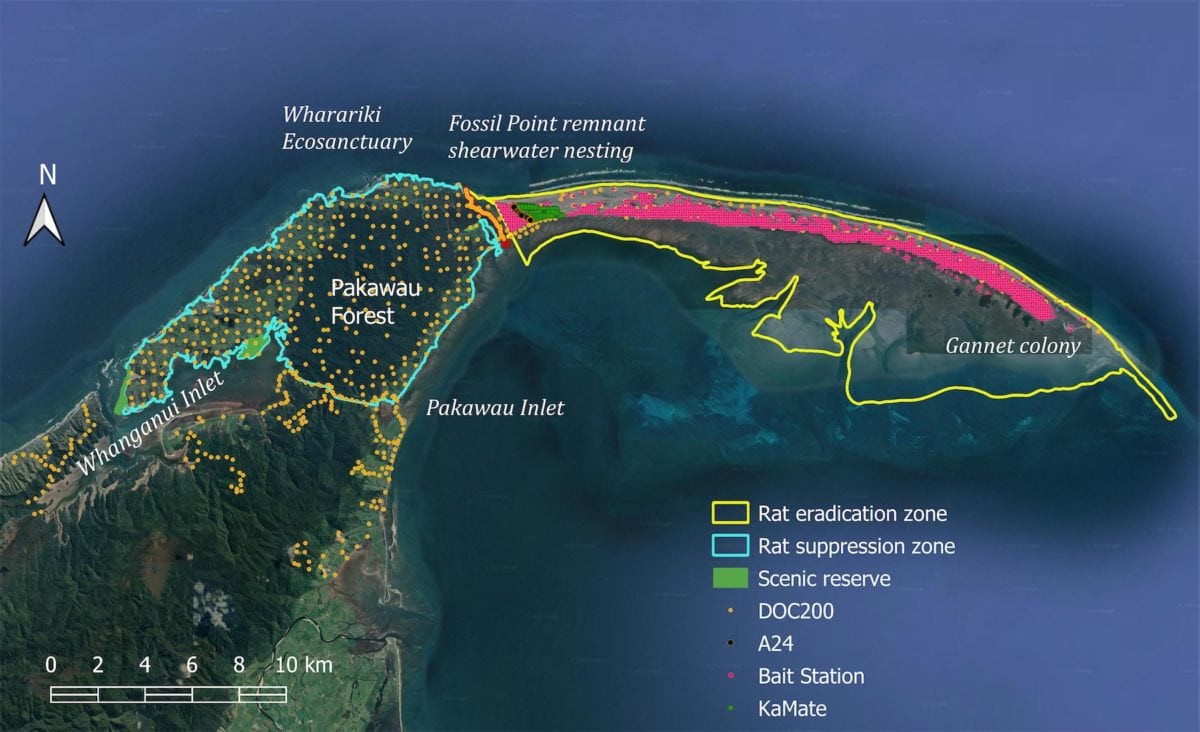 Map of planned rat eradication from Farewell Spit